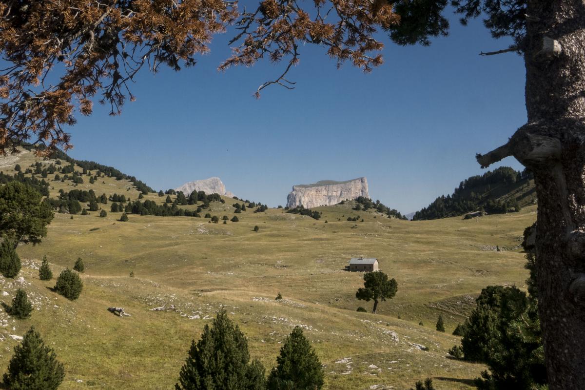 http://www.rochecourbeescapade.fr/storage/photos_club/2020/dia131.jpg