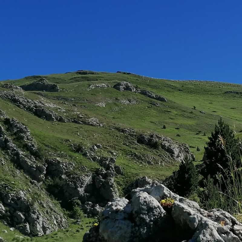 http://www.rochecourbeescapade.fr/storage/photos_club/2020/dia15296.jpg