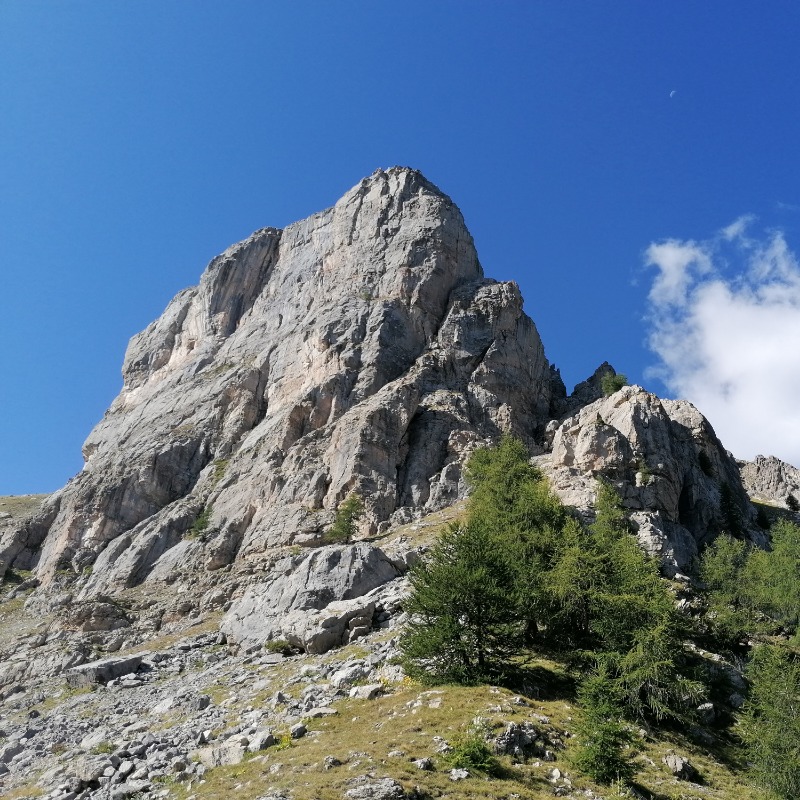 http://www.rochecourbeescapade.fr/storage/photos_club/2020/dia3626.jpg