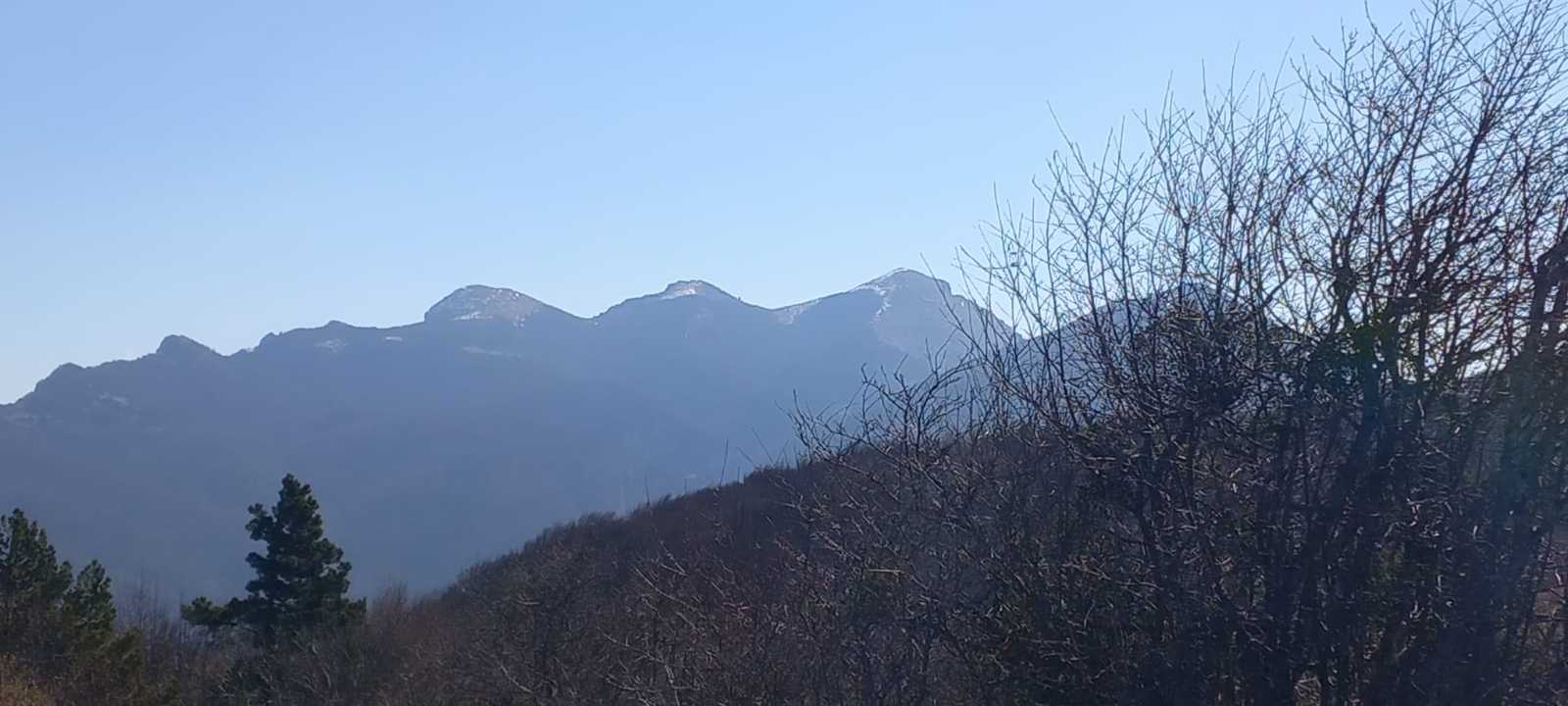 photo absente