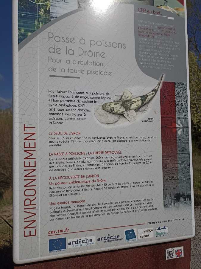 photo absente