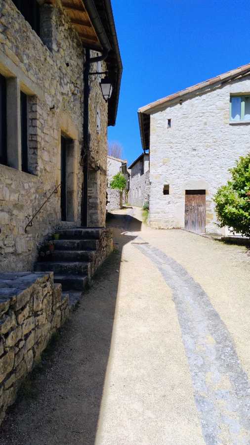 photo absente