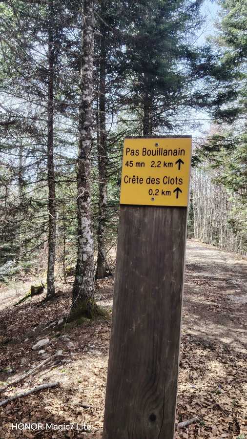 photo absente