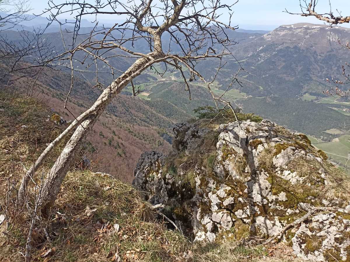 photo absente