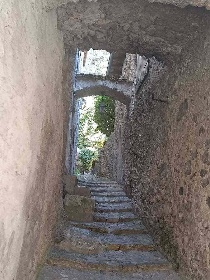 photo absente