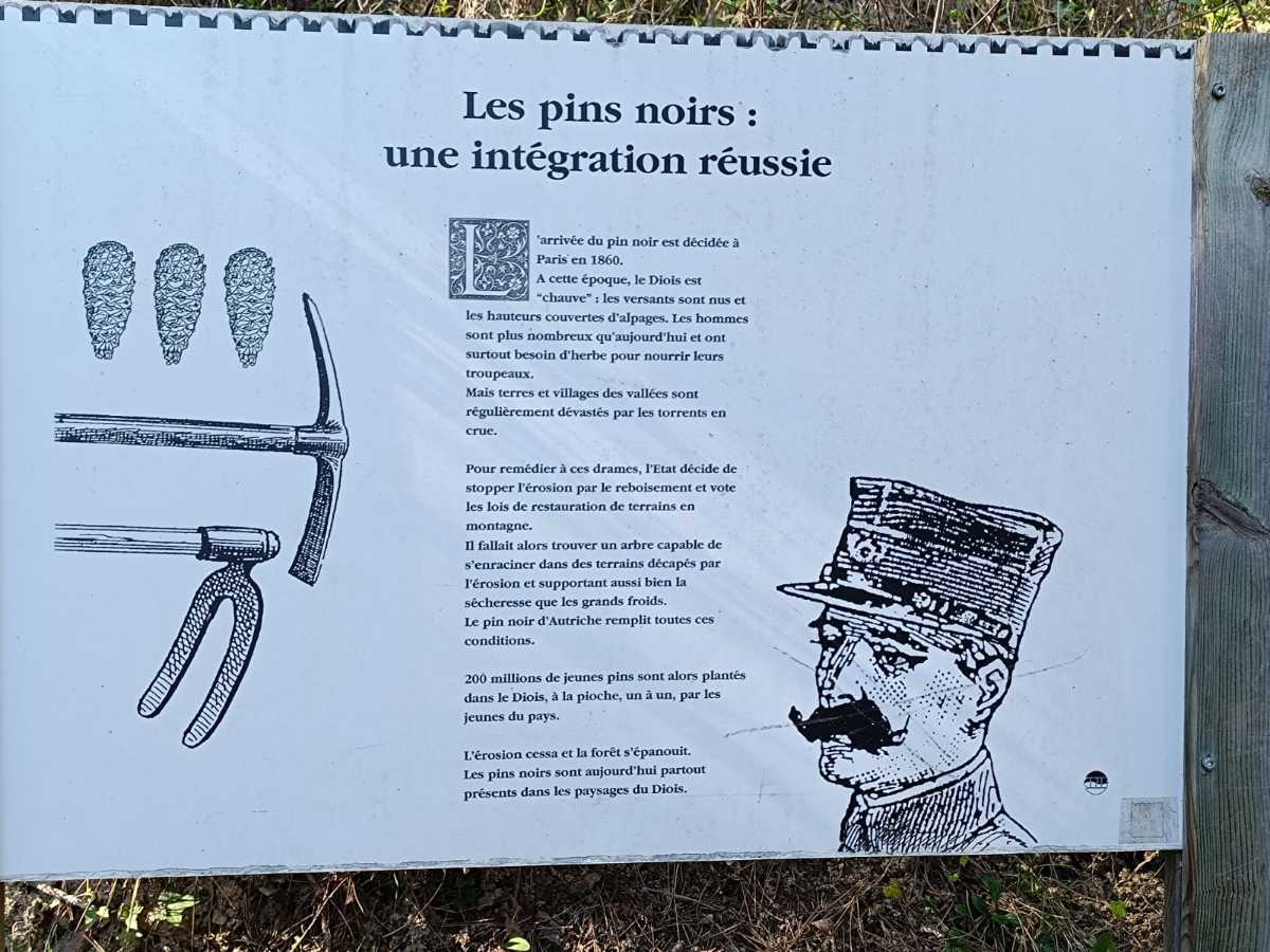 photo absente