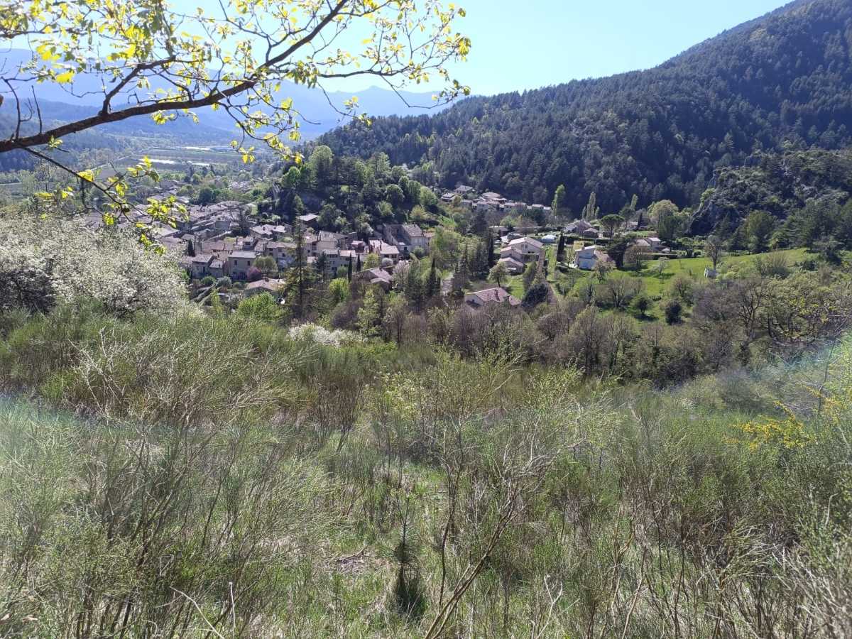 photo absente