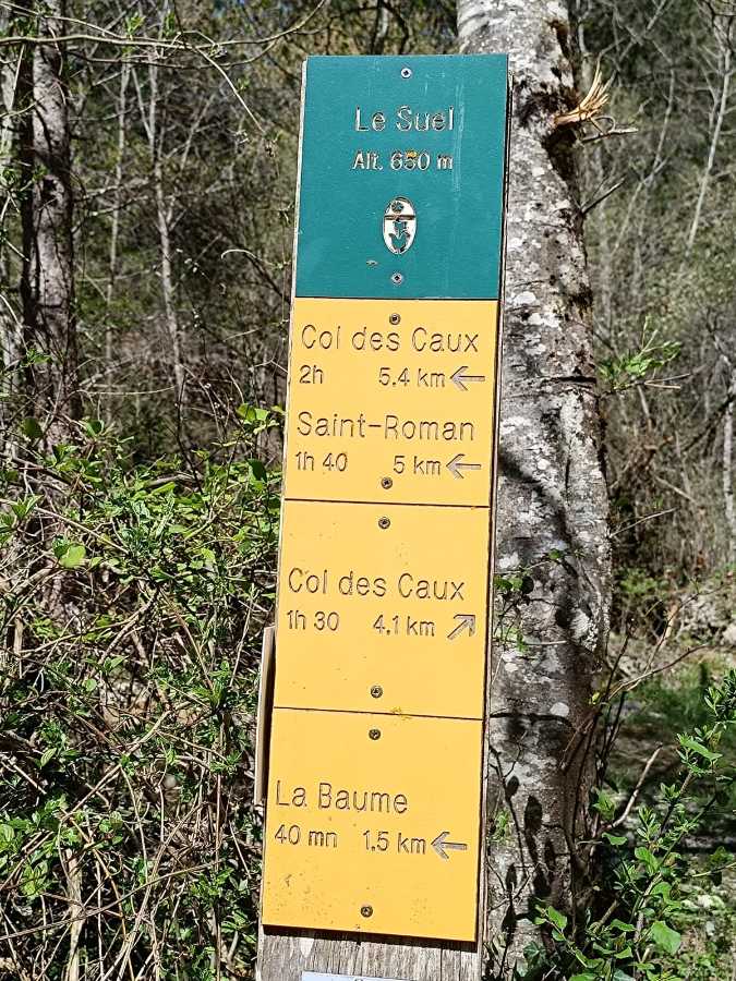 photo absente