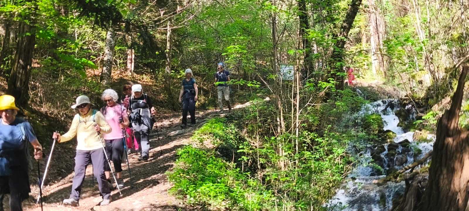 photo absente
