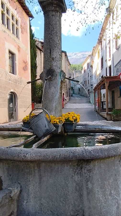 photo absente