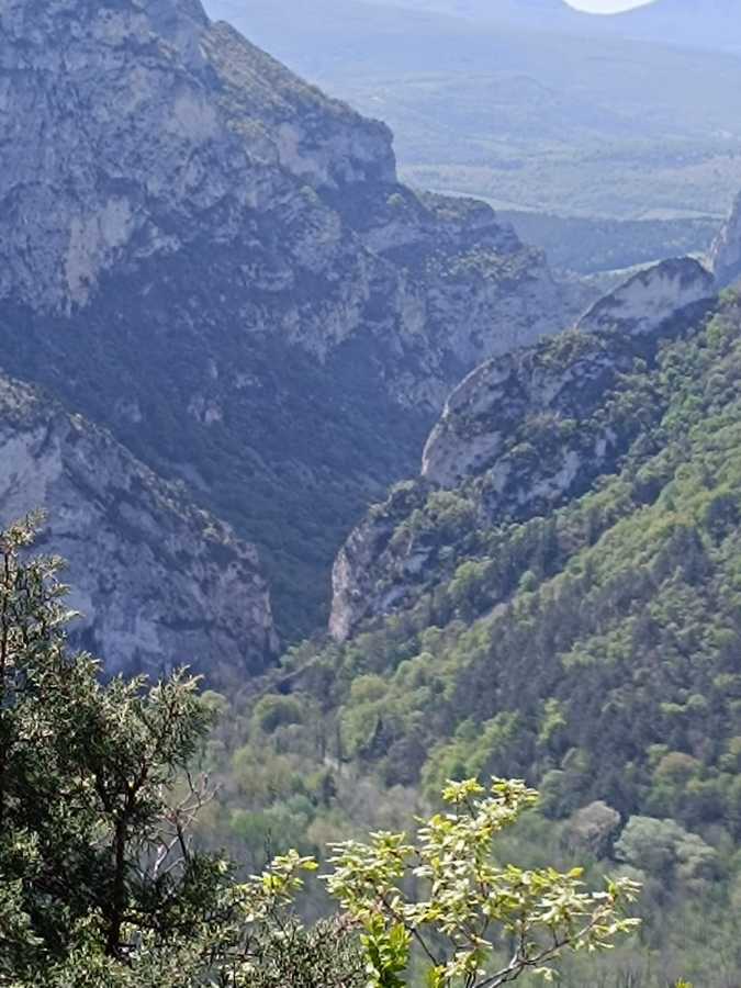 photo absente