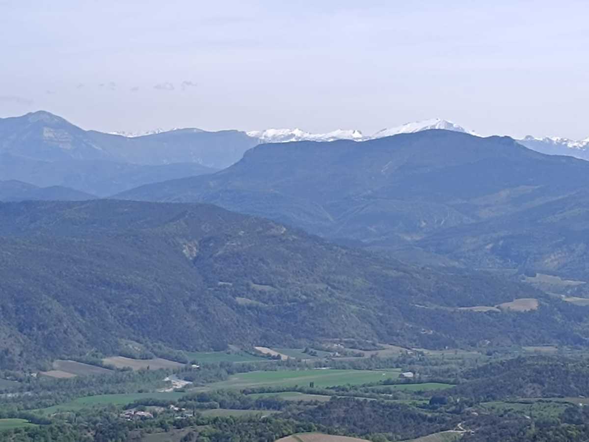 photo absente