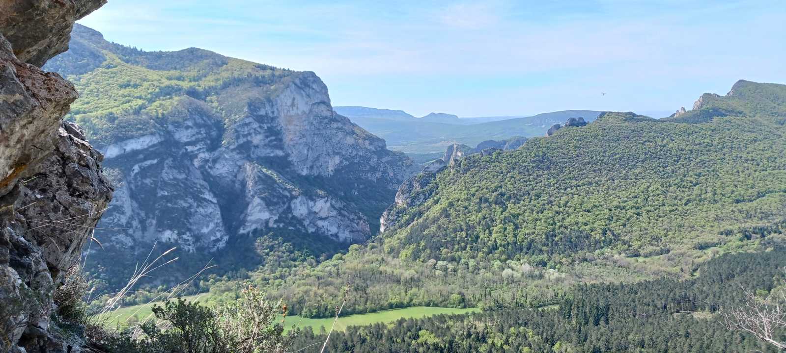 photo absente