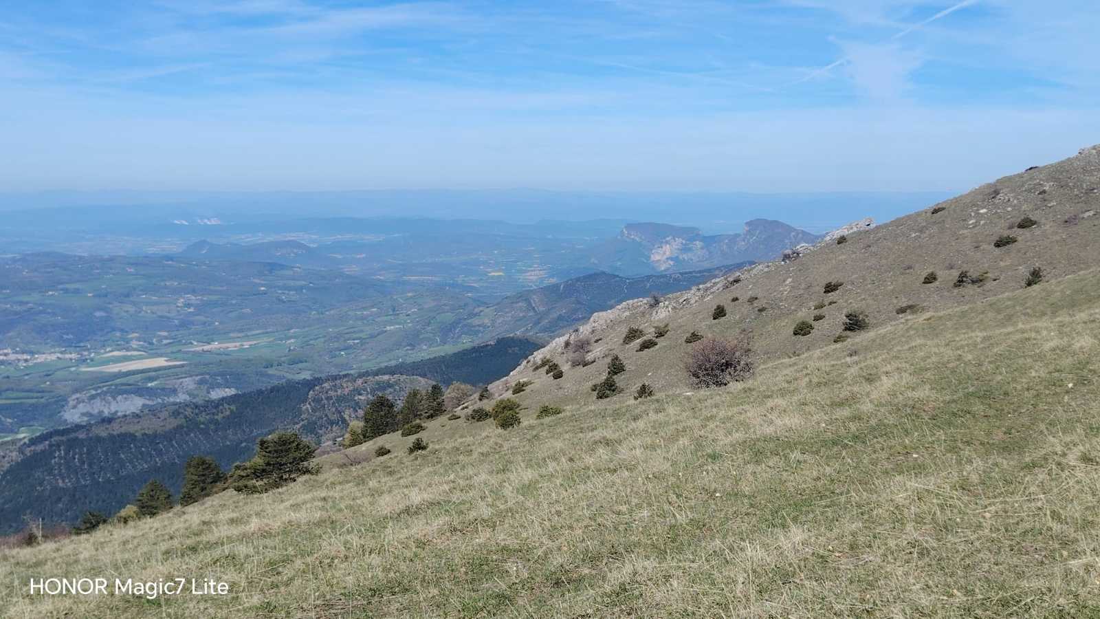 photo absente