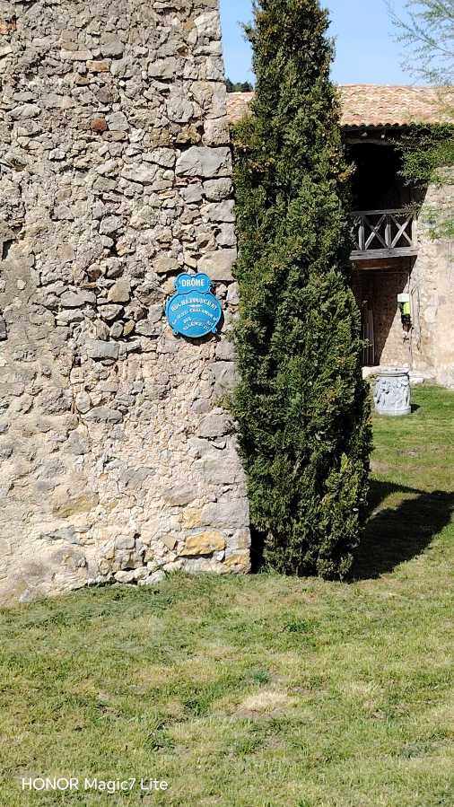 photo absente