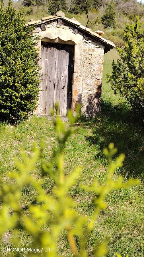 photo absente
