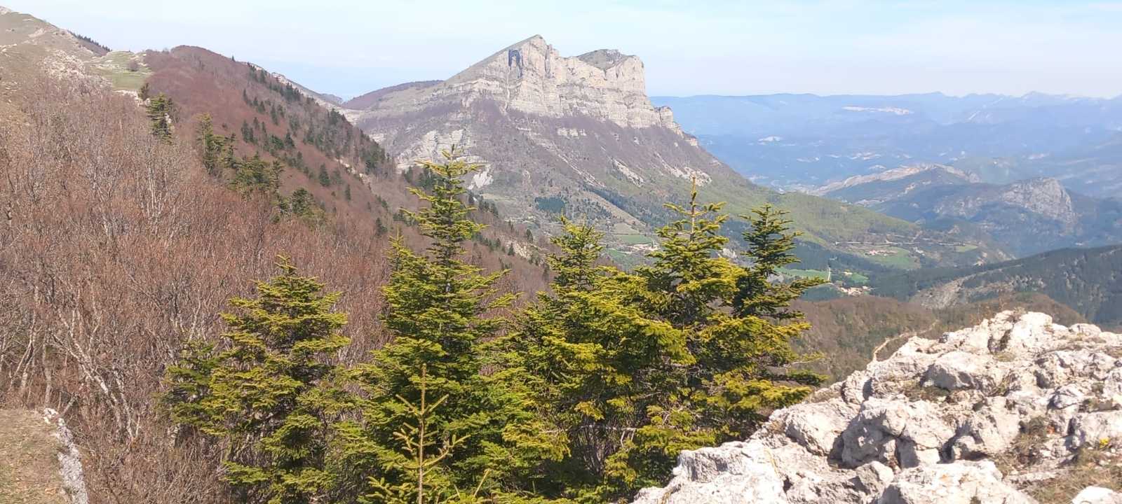 photo absente