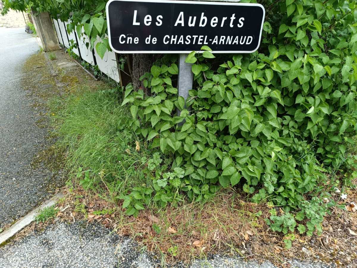 photo absente