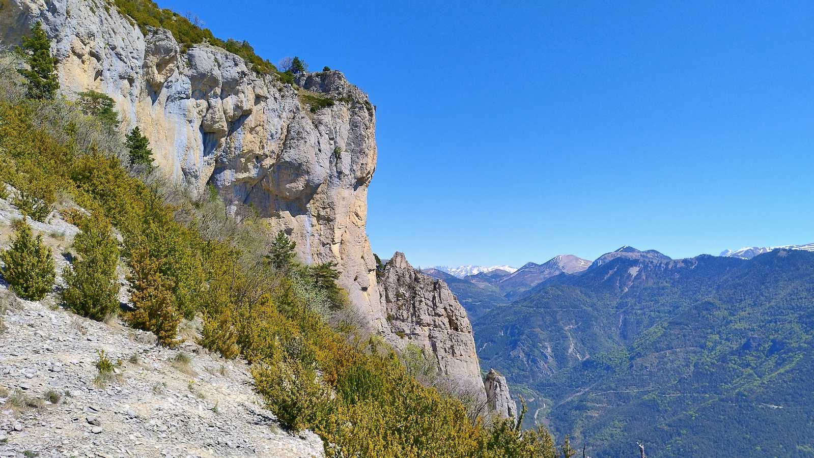 photo absente