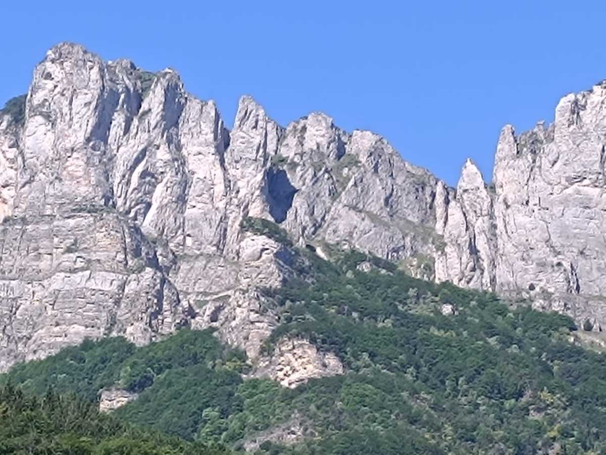 photo absente