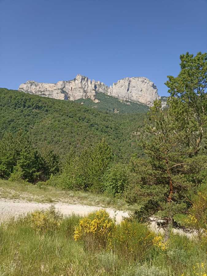 photo absente