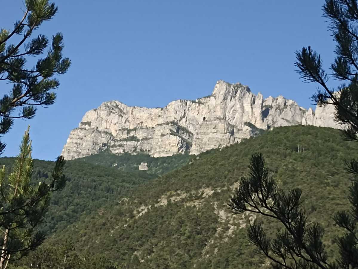 photo absente