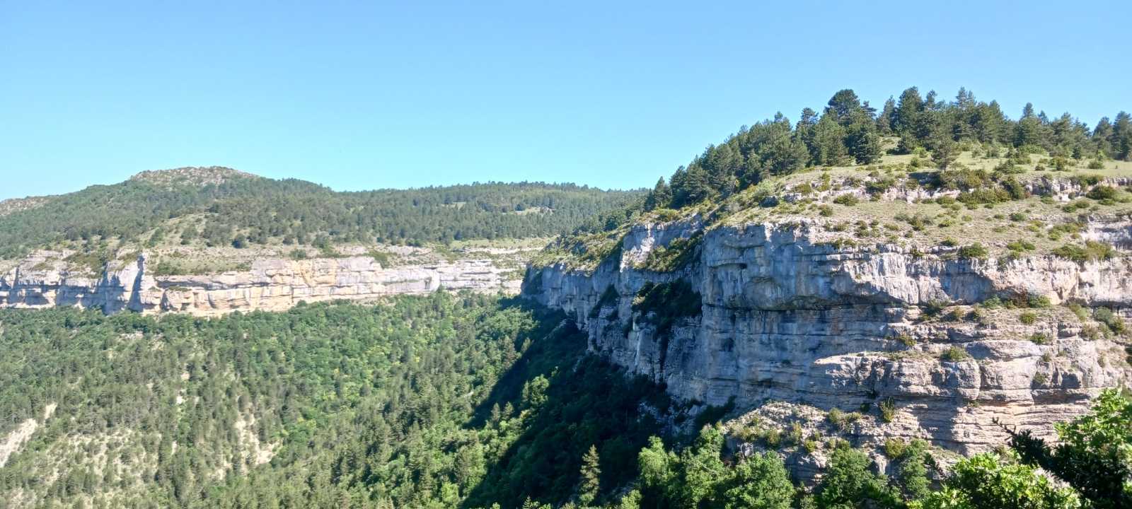 photo absente