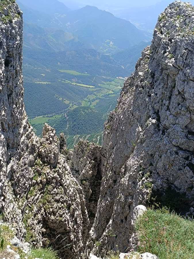 photo absente