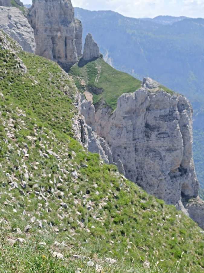 photo absente