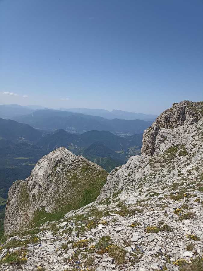 photo absente