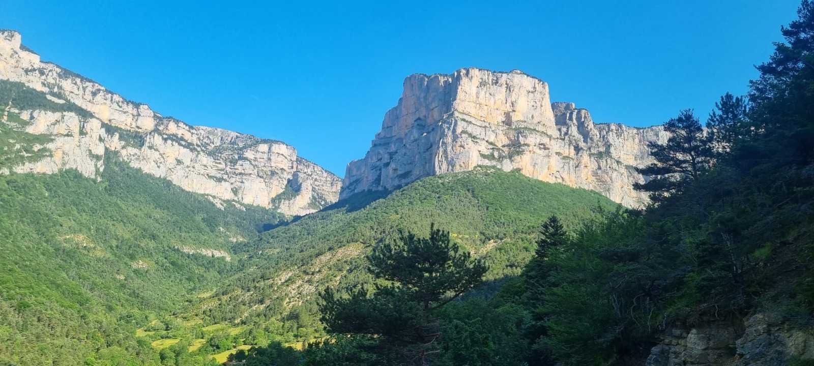 photo absente