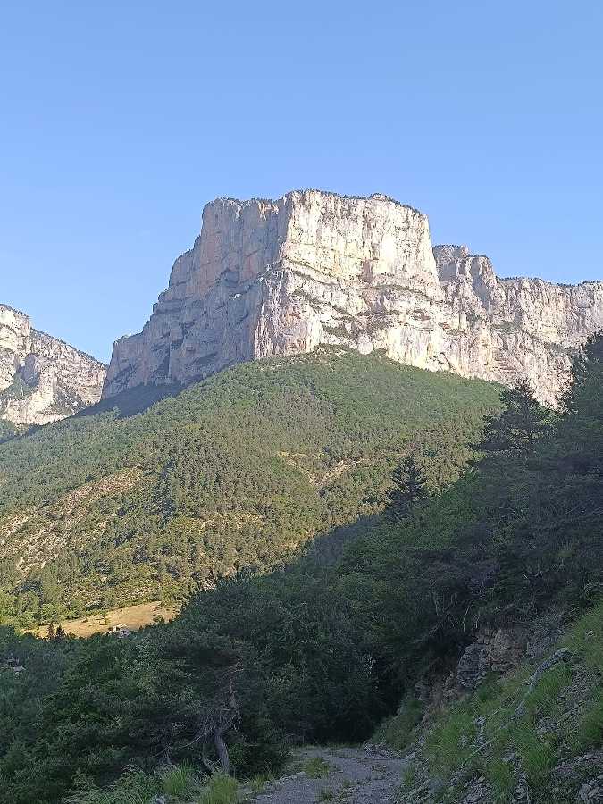 photo absente