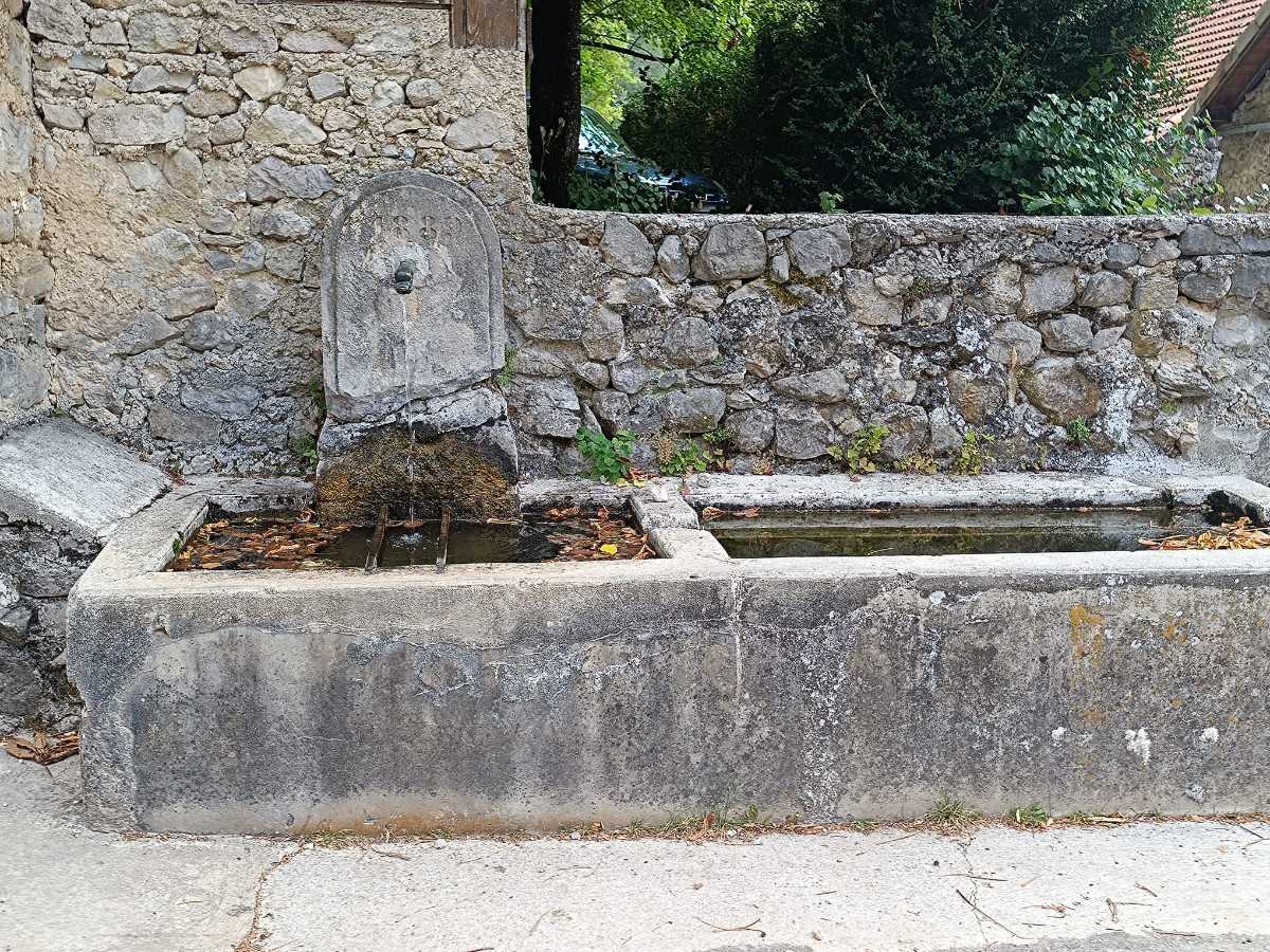 photo absente