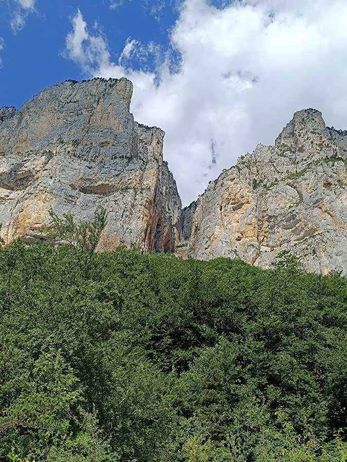 photo absente