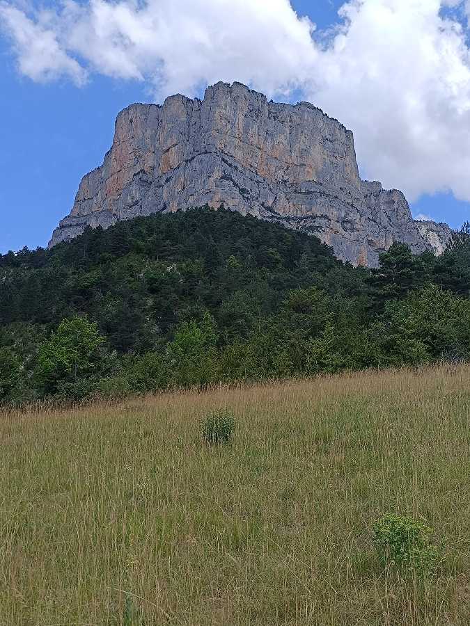 photo absente