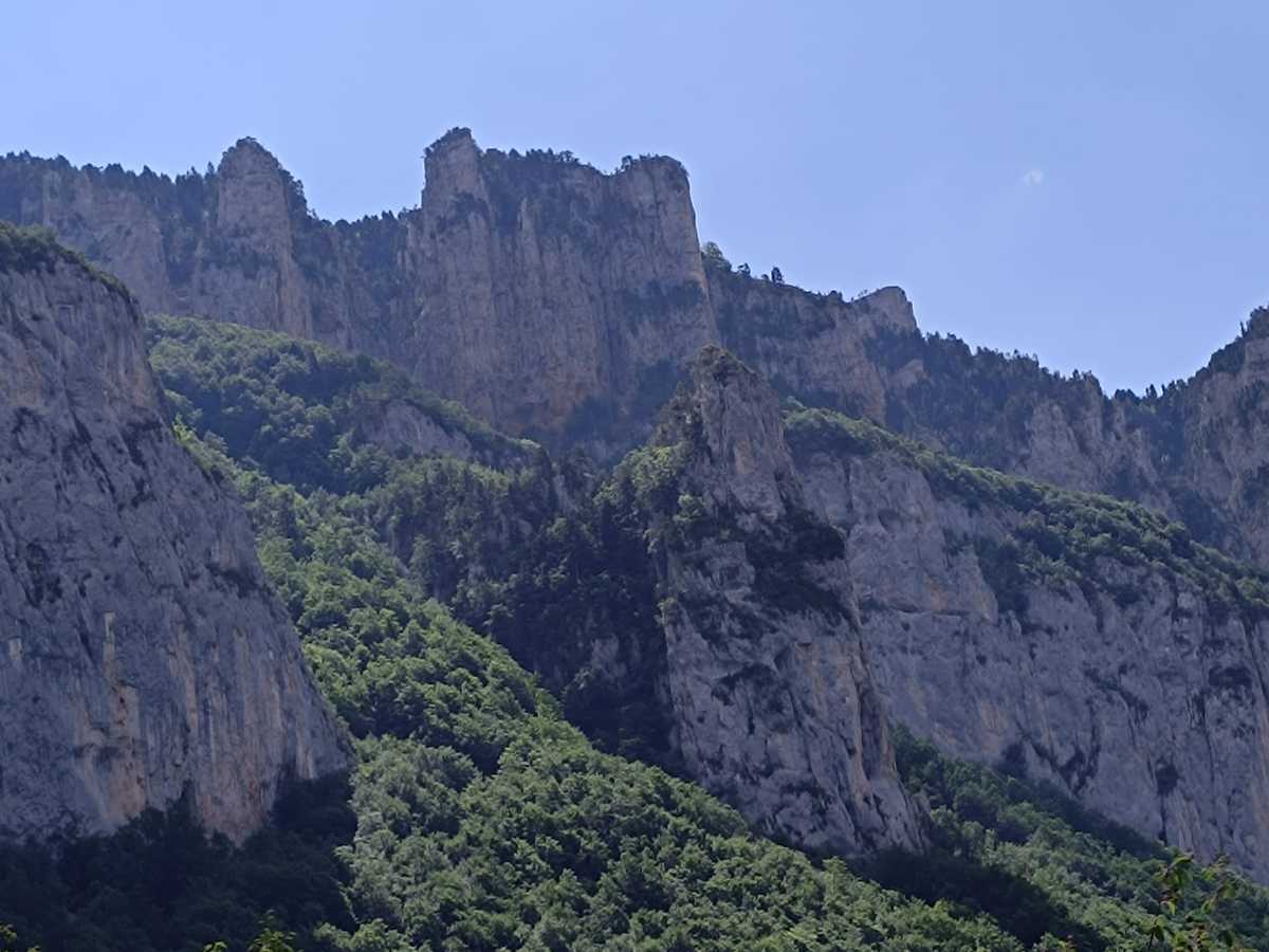 photo absente