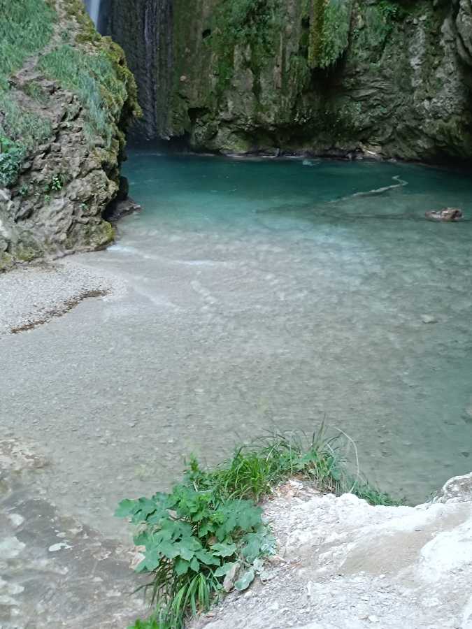 photo absente