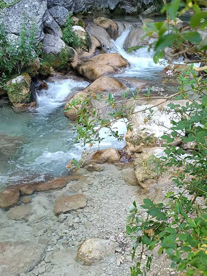 photo absente