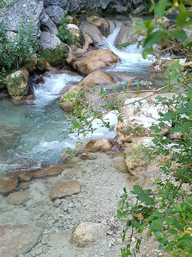 photo absente