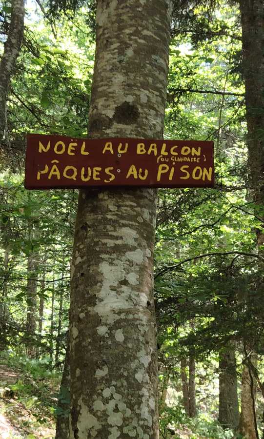 photo absente