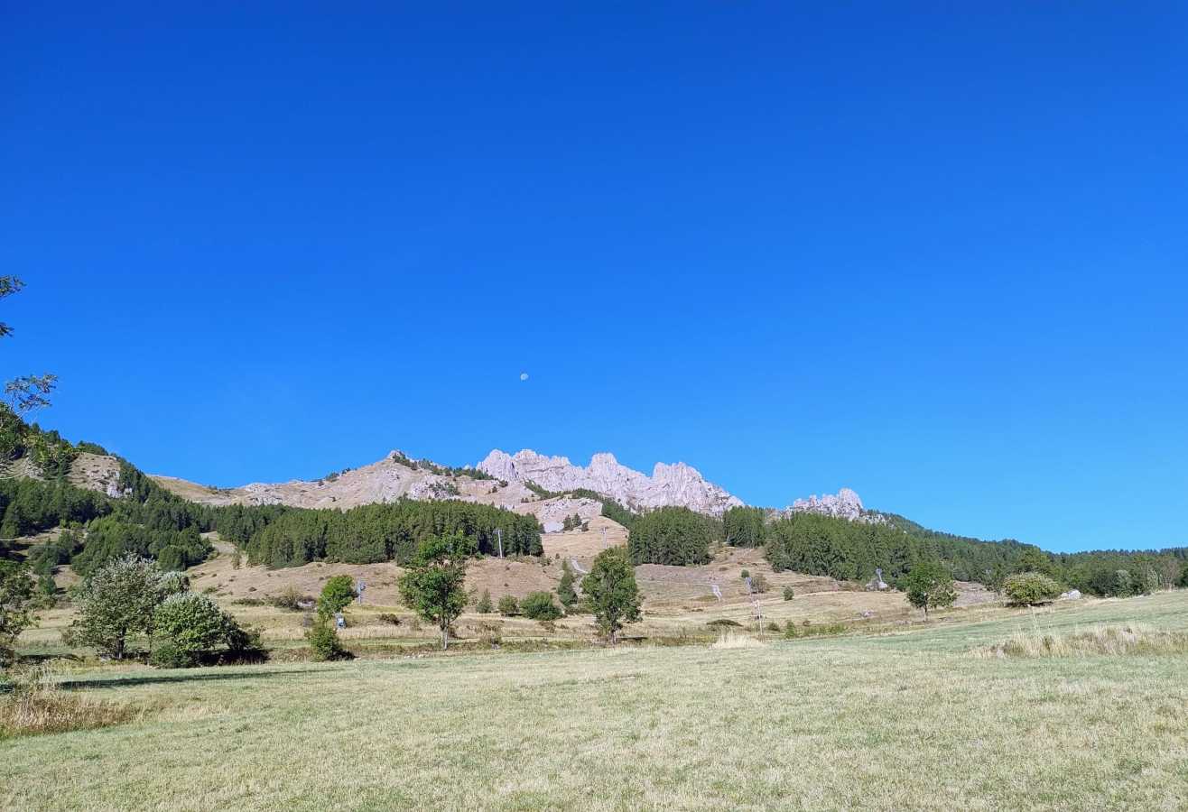 photo absente