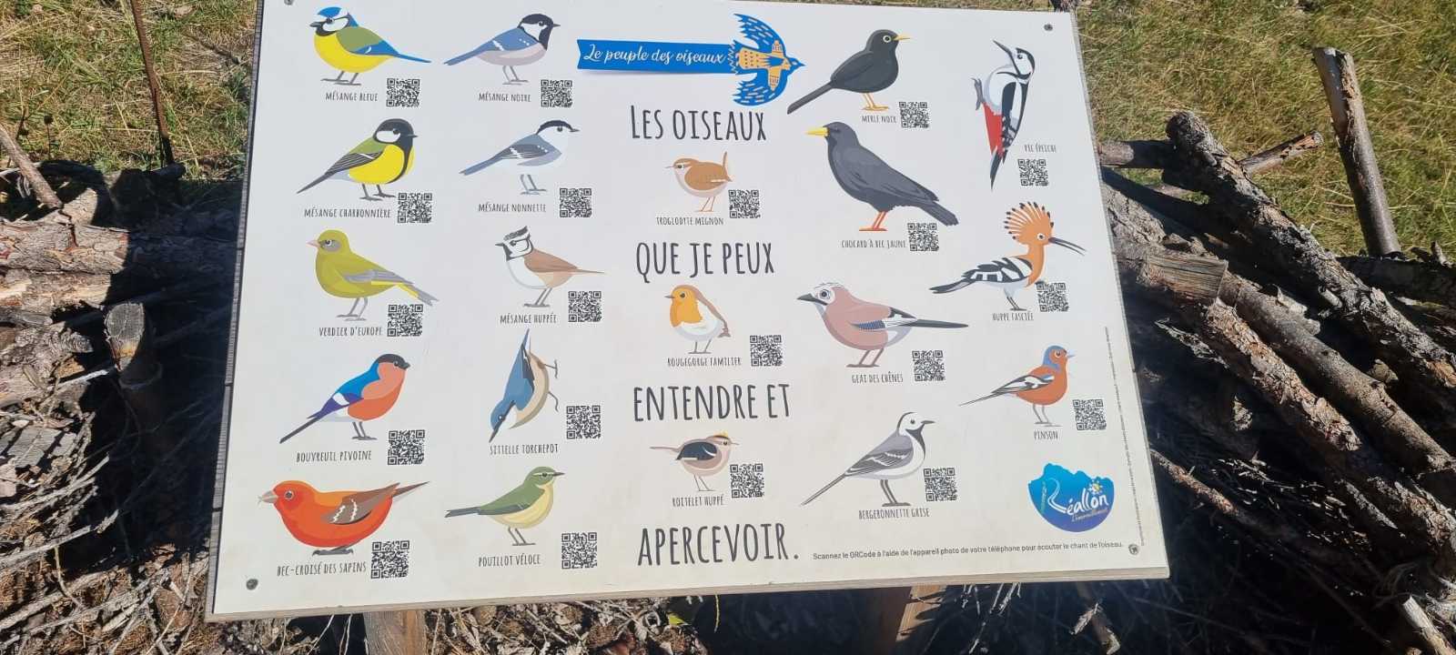 photo absente
