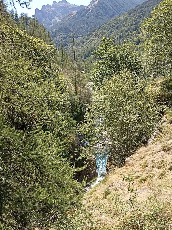 photo absente