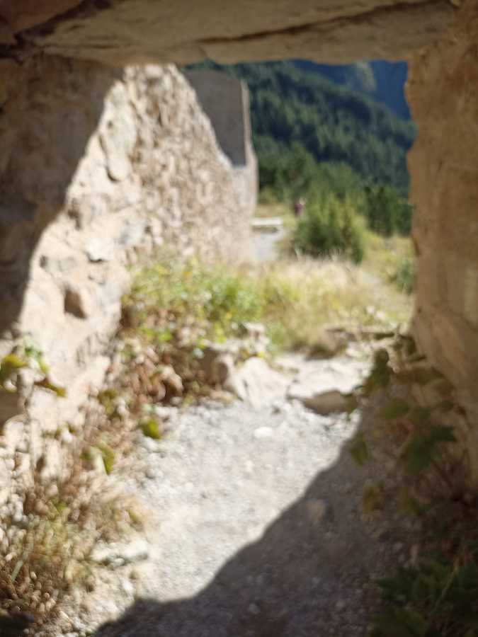 photo absente