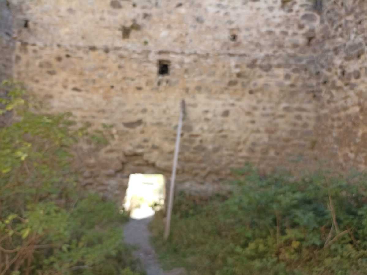 photo absente