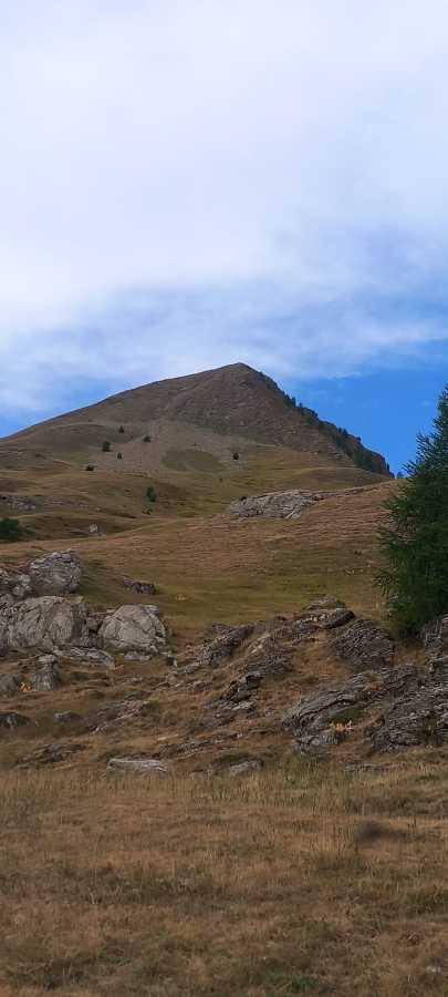 photo absente