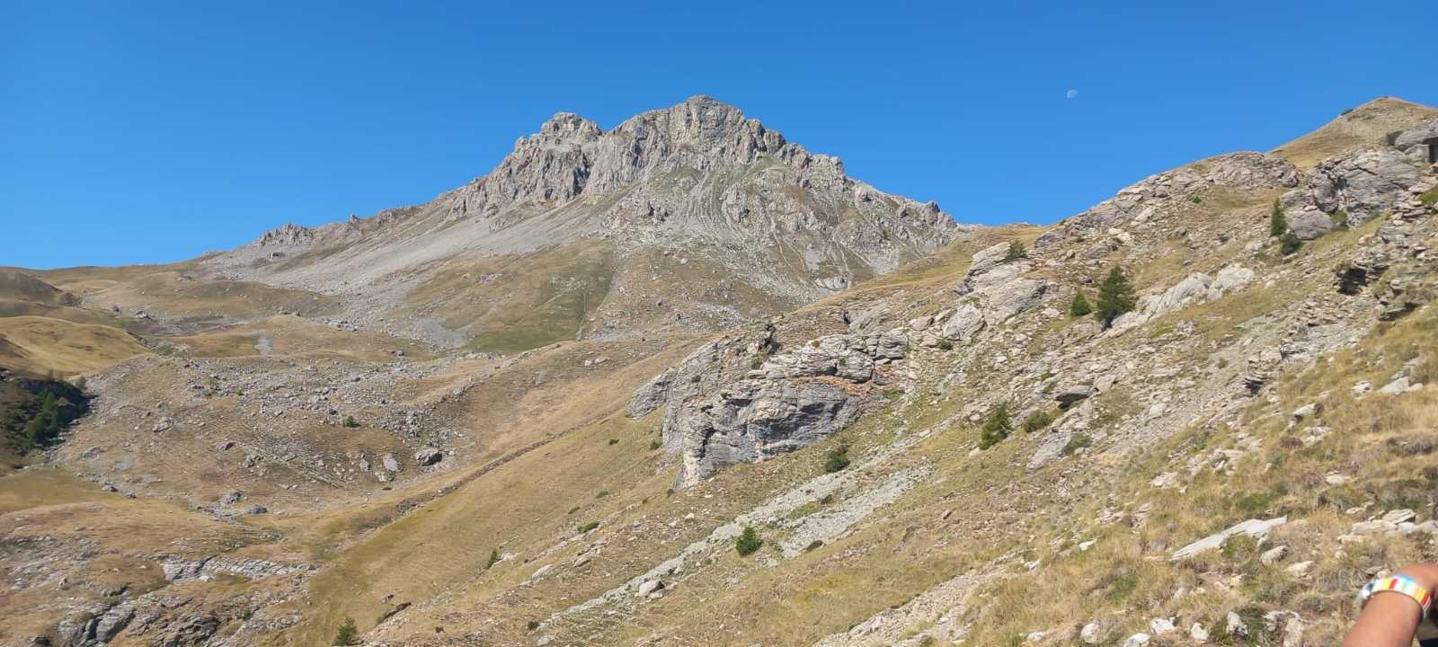 photo absente