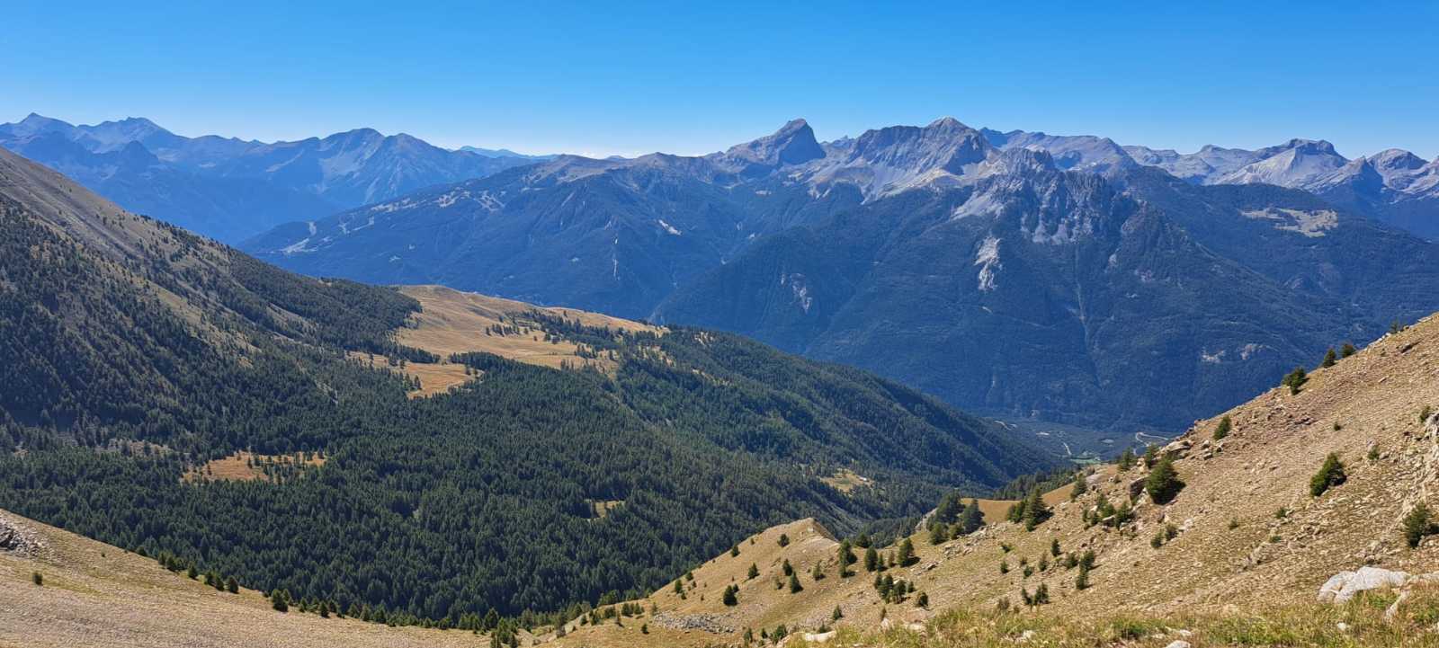 photo absente