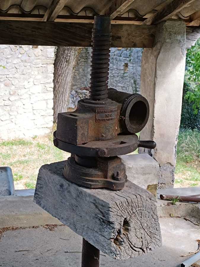 photo absente