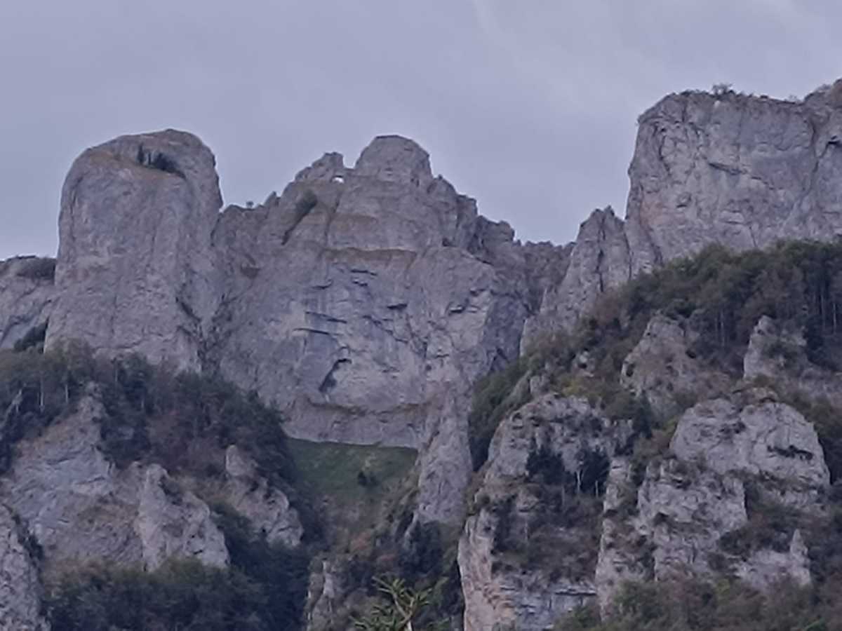 photo absente